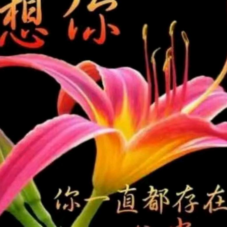 雨中百合