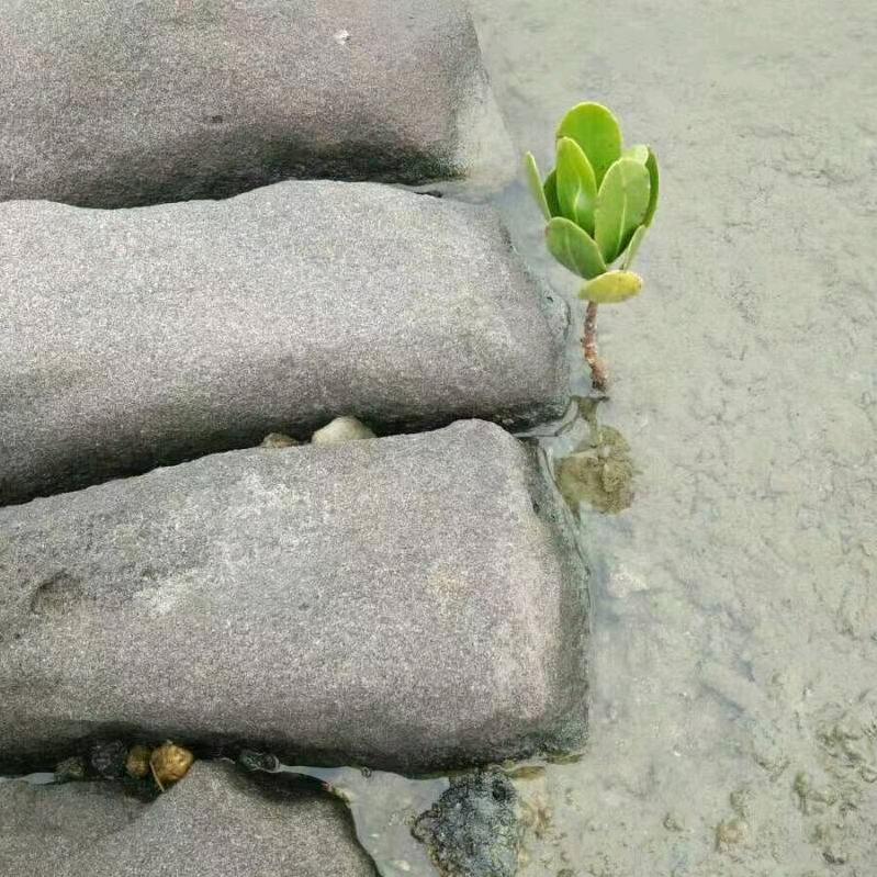 航子