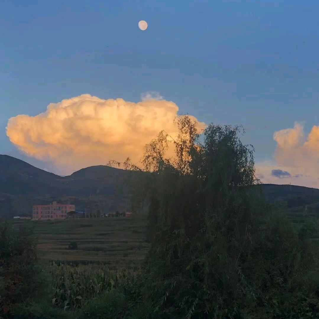 随风听涛