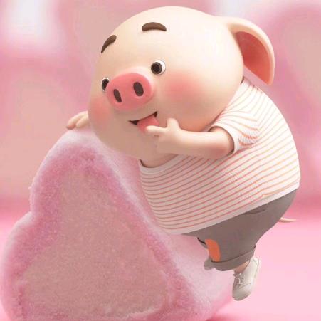 猪猪侠🐷