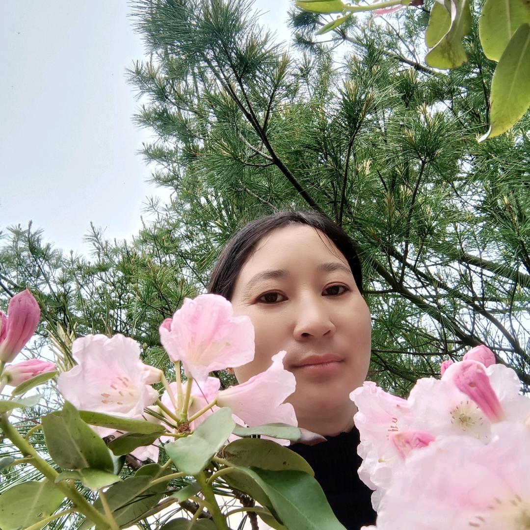 晚风很温柔。(=^▽^=)