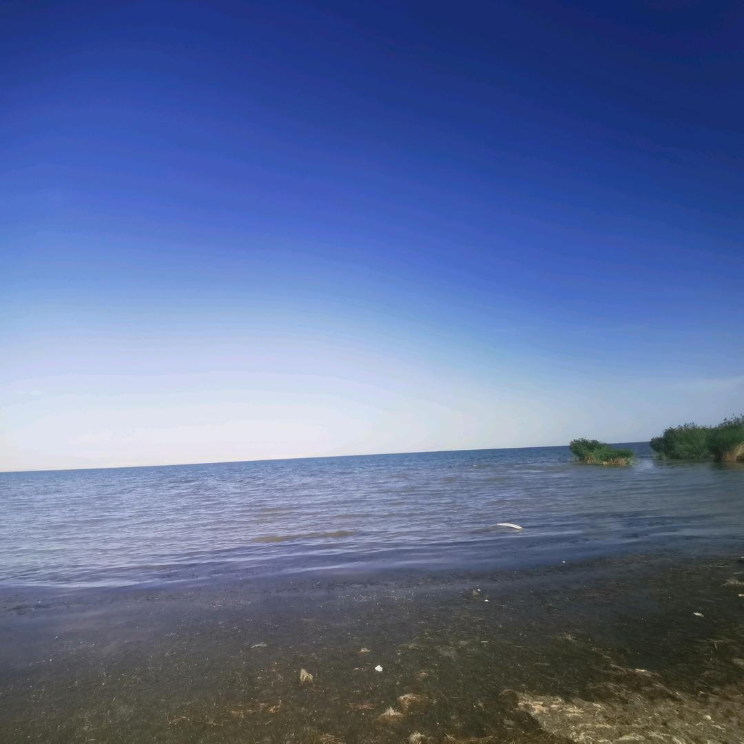 逆流而上勇往直前