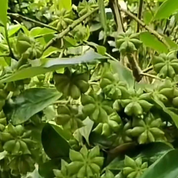 永远有你