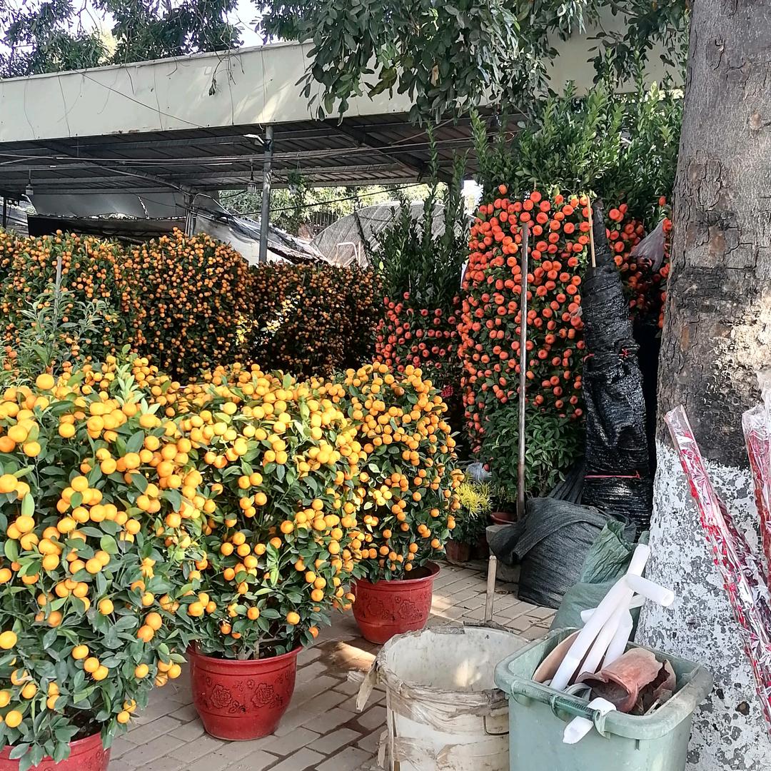 老马回收旧家电