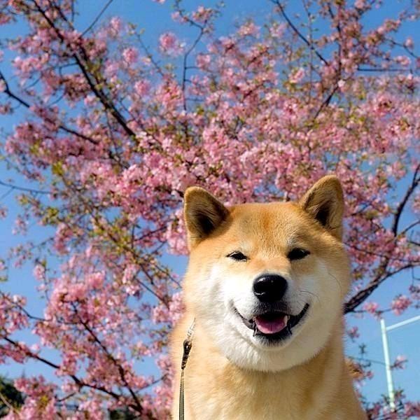 用户1577816552385