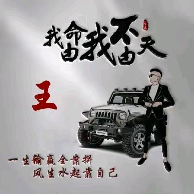 鹏少