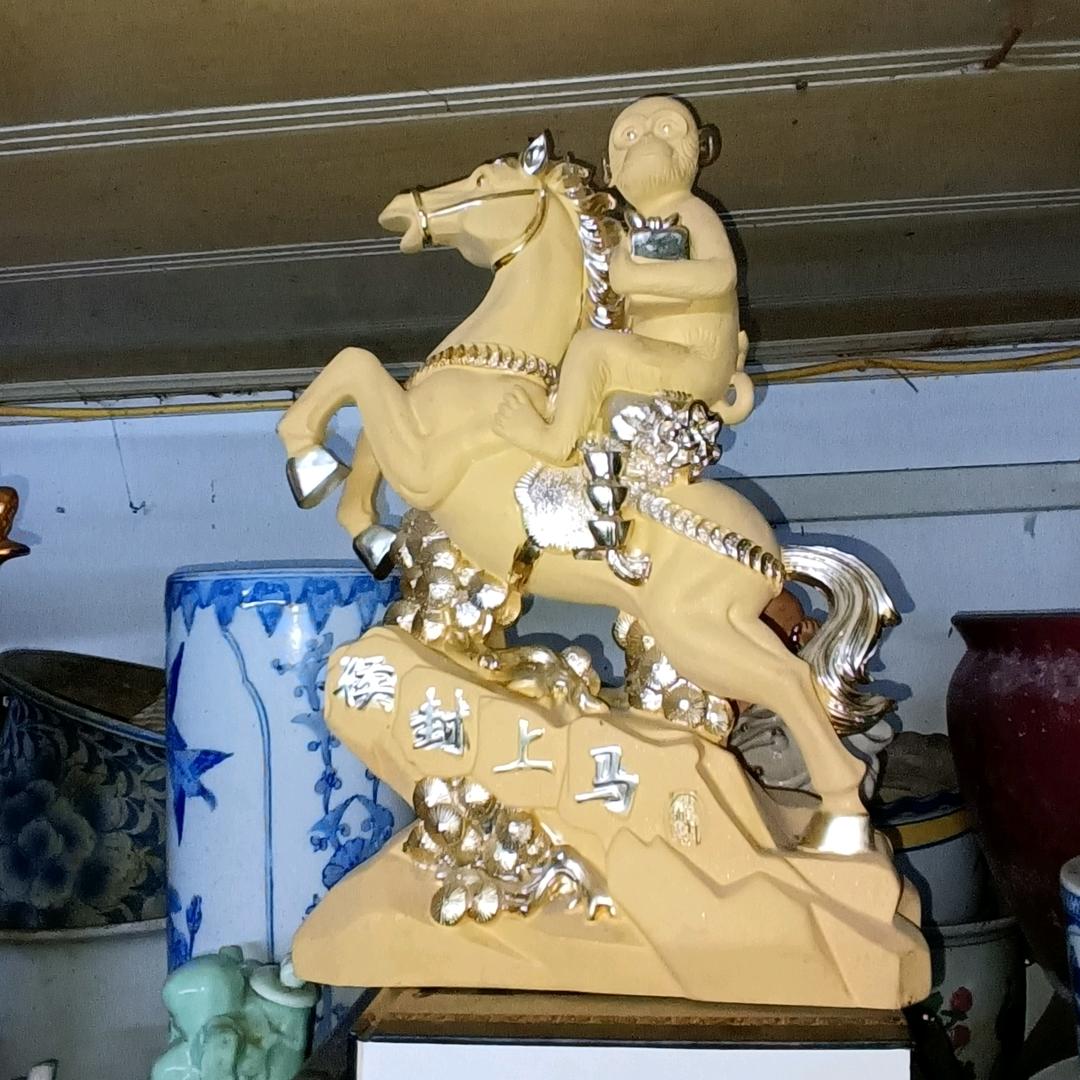 万年青