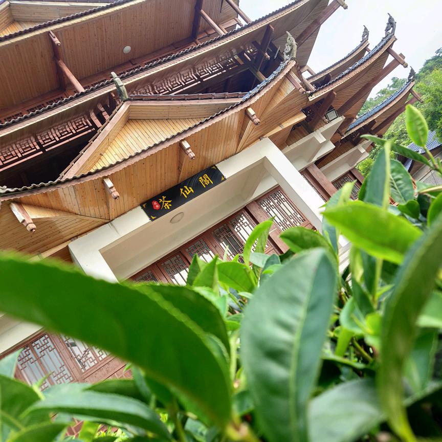 🌈奔跑吧小厨🌈