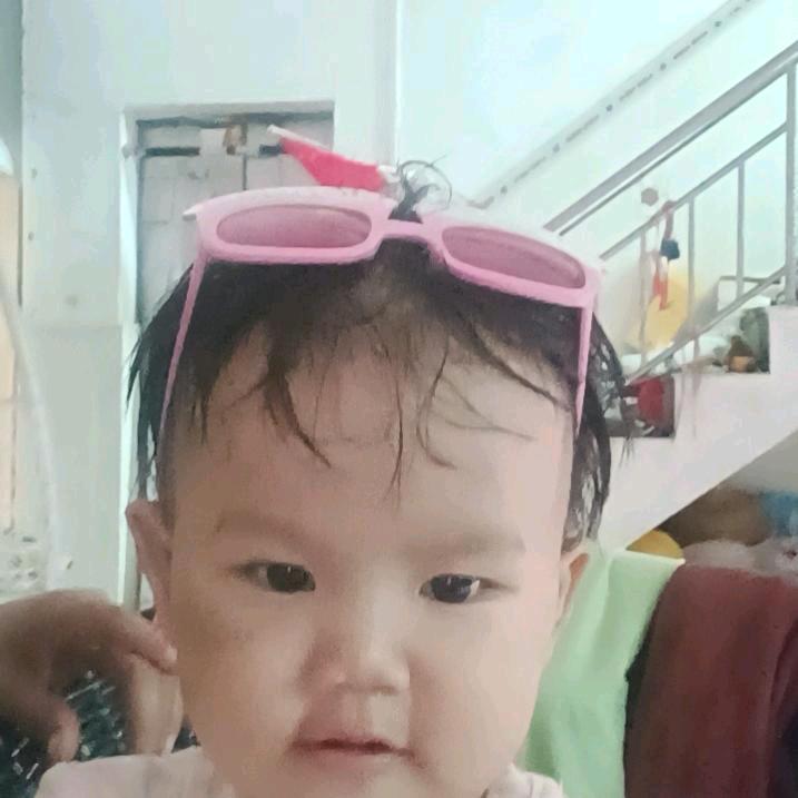 莲花_222761368