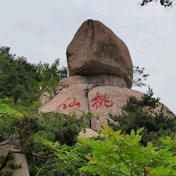 izi321321