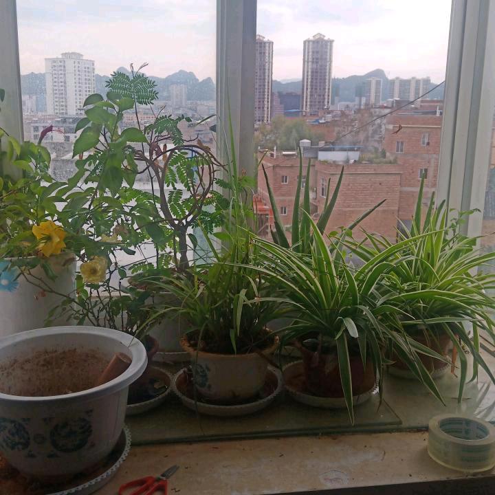 爱你到永久