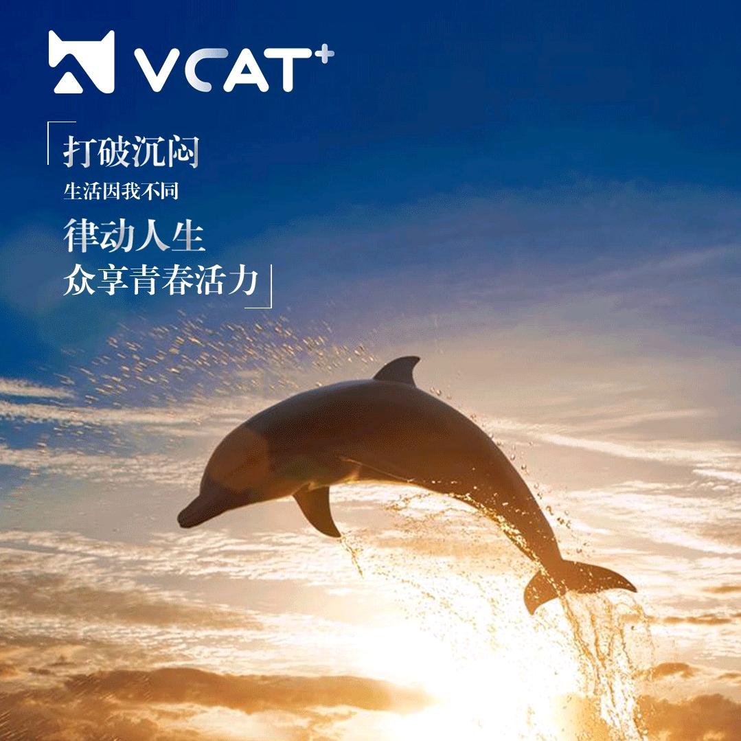 人生只是一个经历