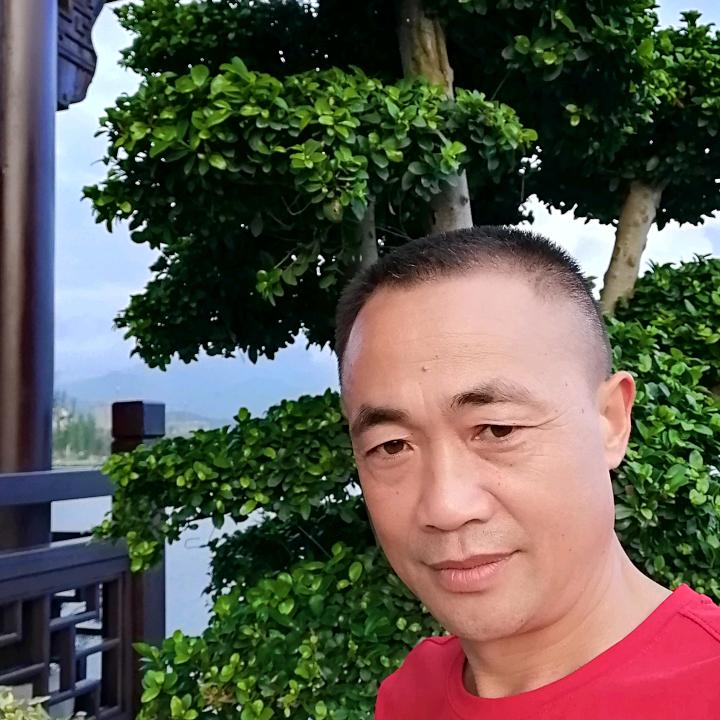 向文車