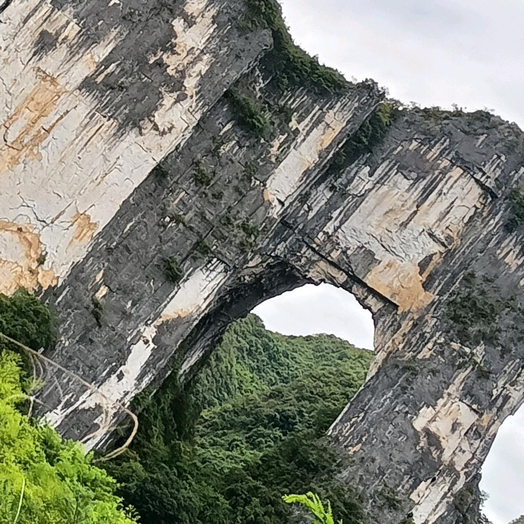 清楠