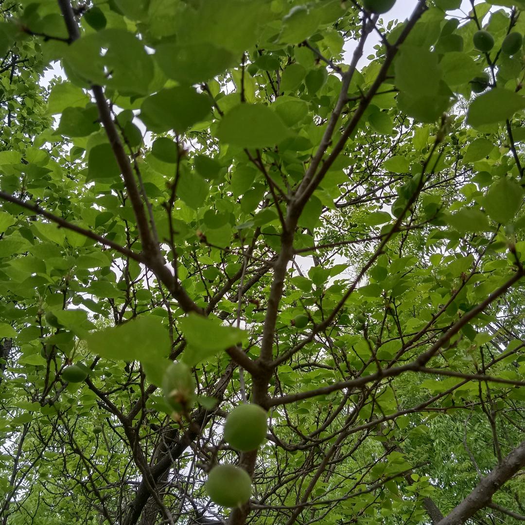 一生珍惜