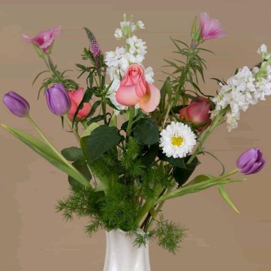 家装，店面装修