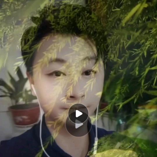 伤感情歌