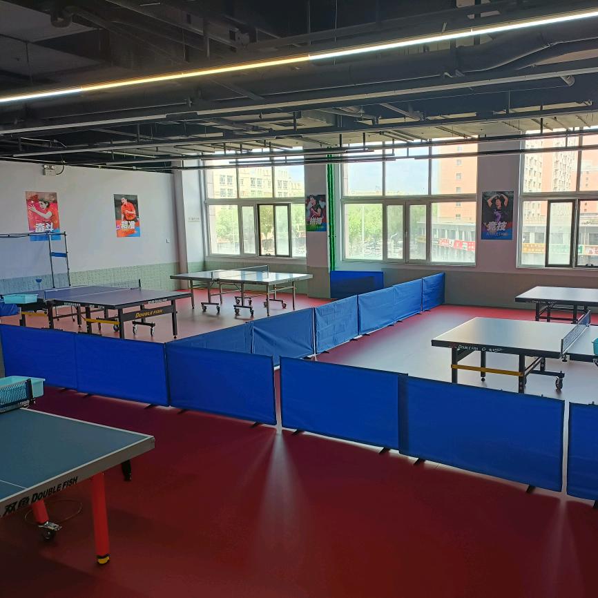 乌兰浩特市乒乓球班陆教练1900+