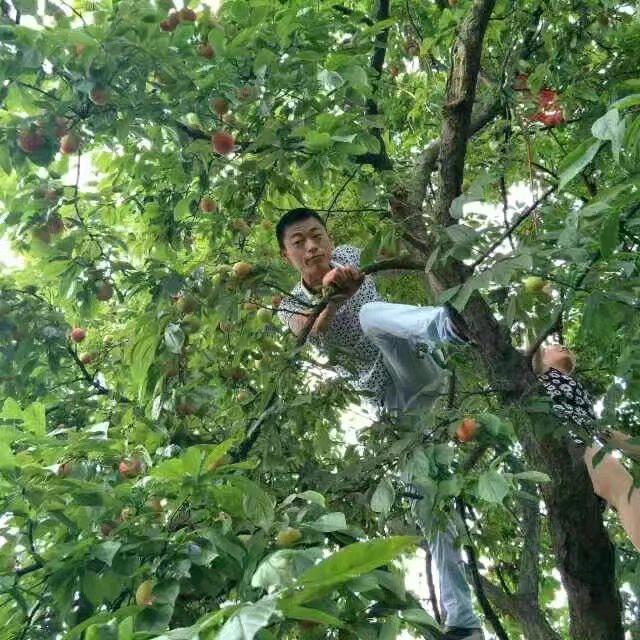 涛哥依旧