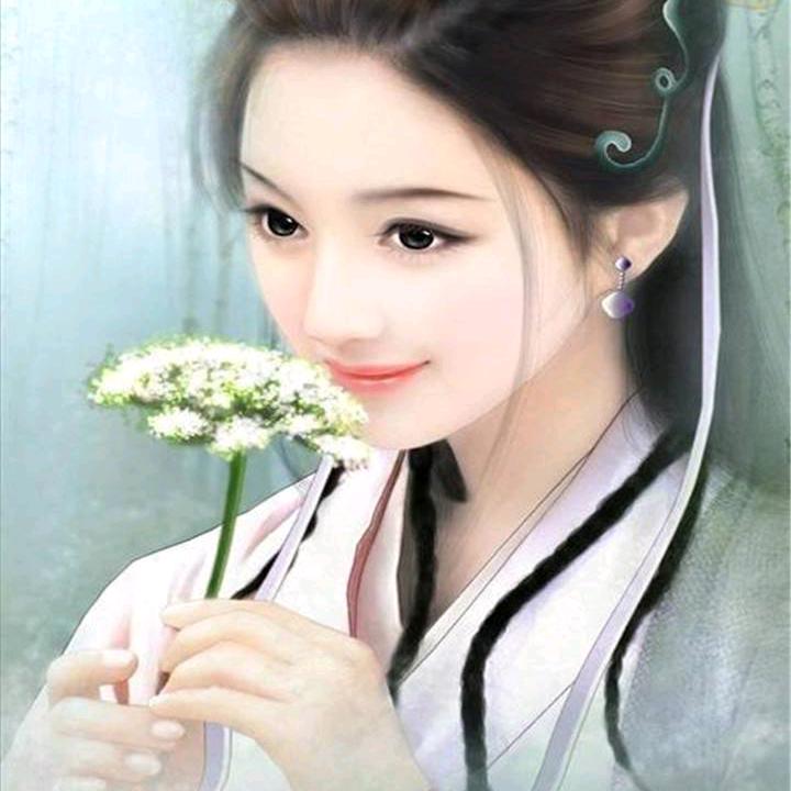 佳贝影视解说
