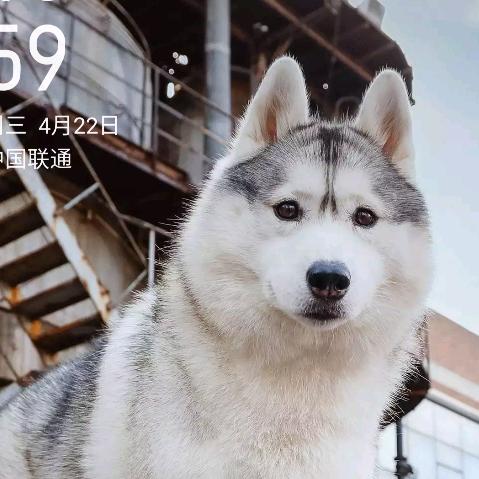 开心快乐每一天