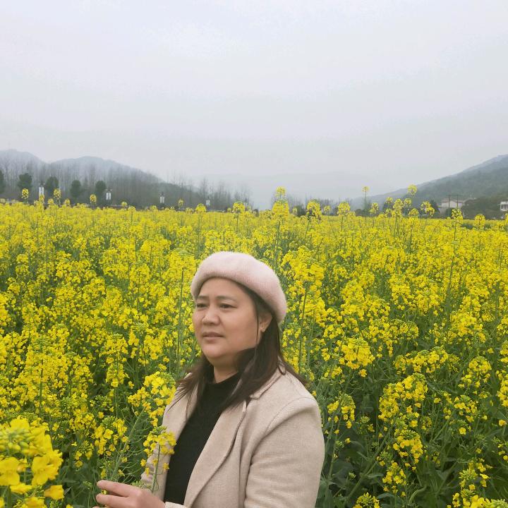 旅游+中介吴年珍