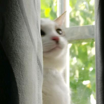 怂怂今天怎么样