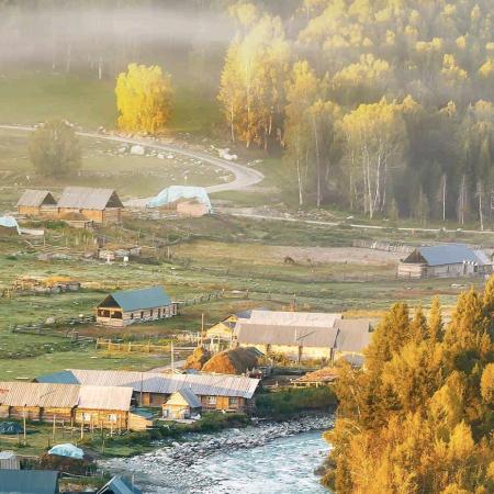 天天向上的露露✧