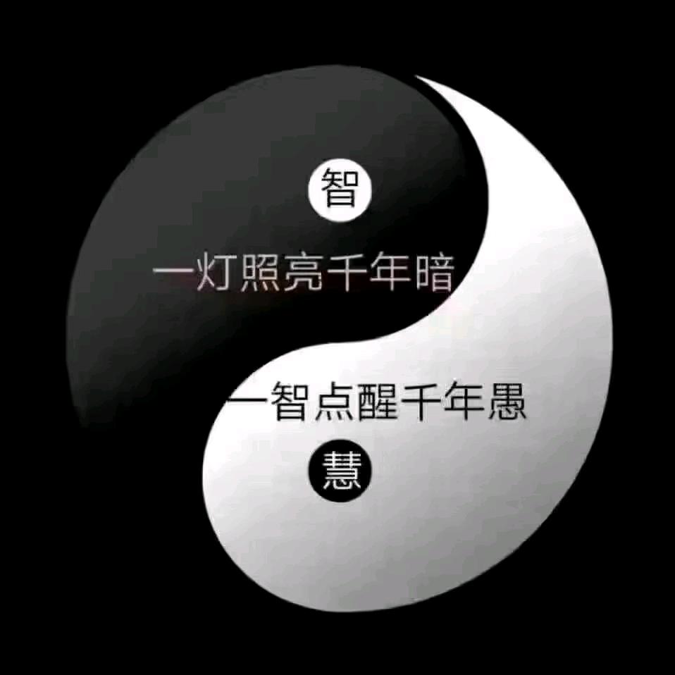 金龙