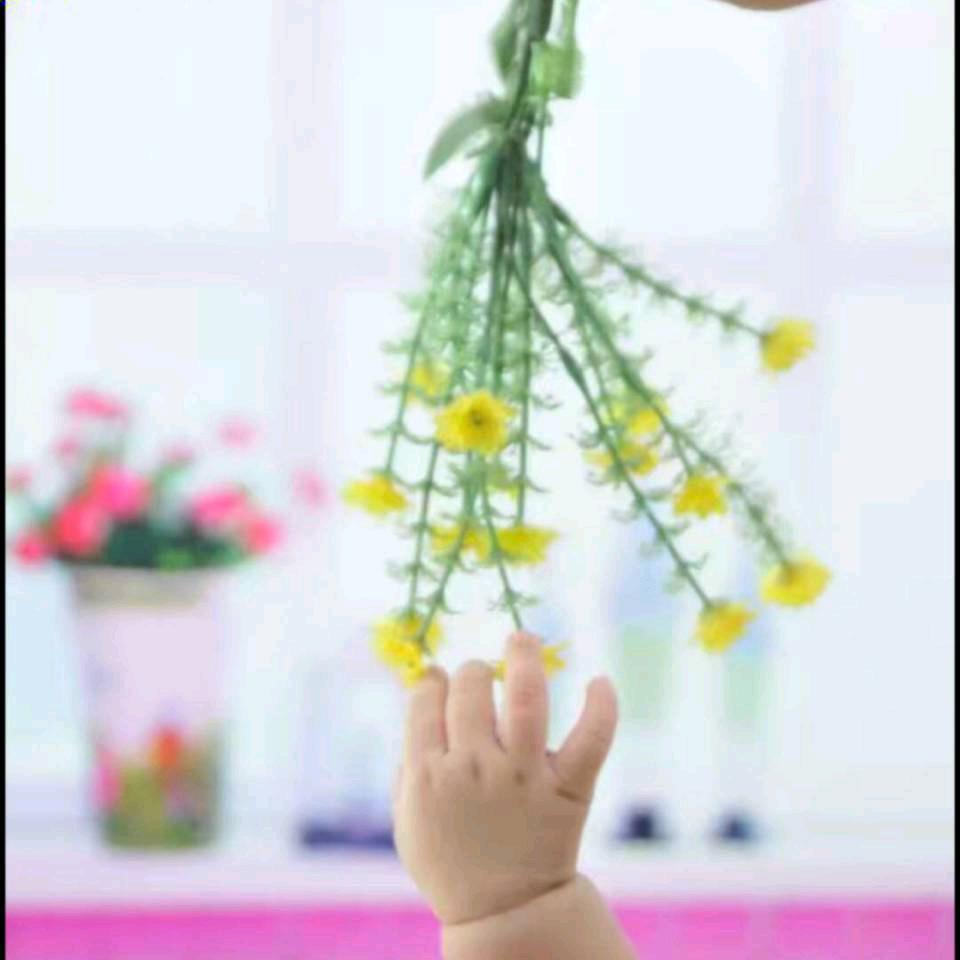 艳💋拒绝连赞！！！