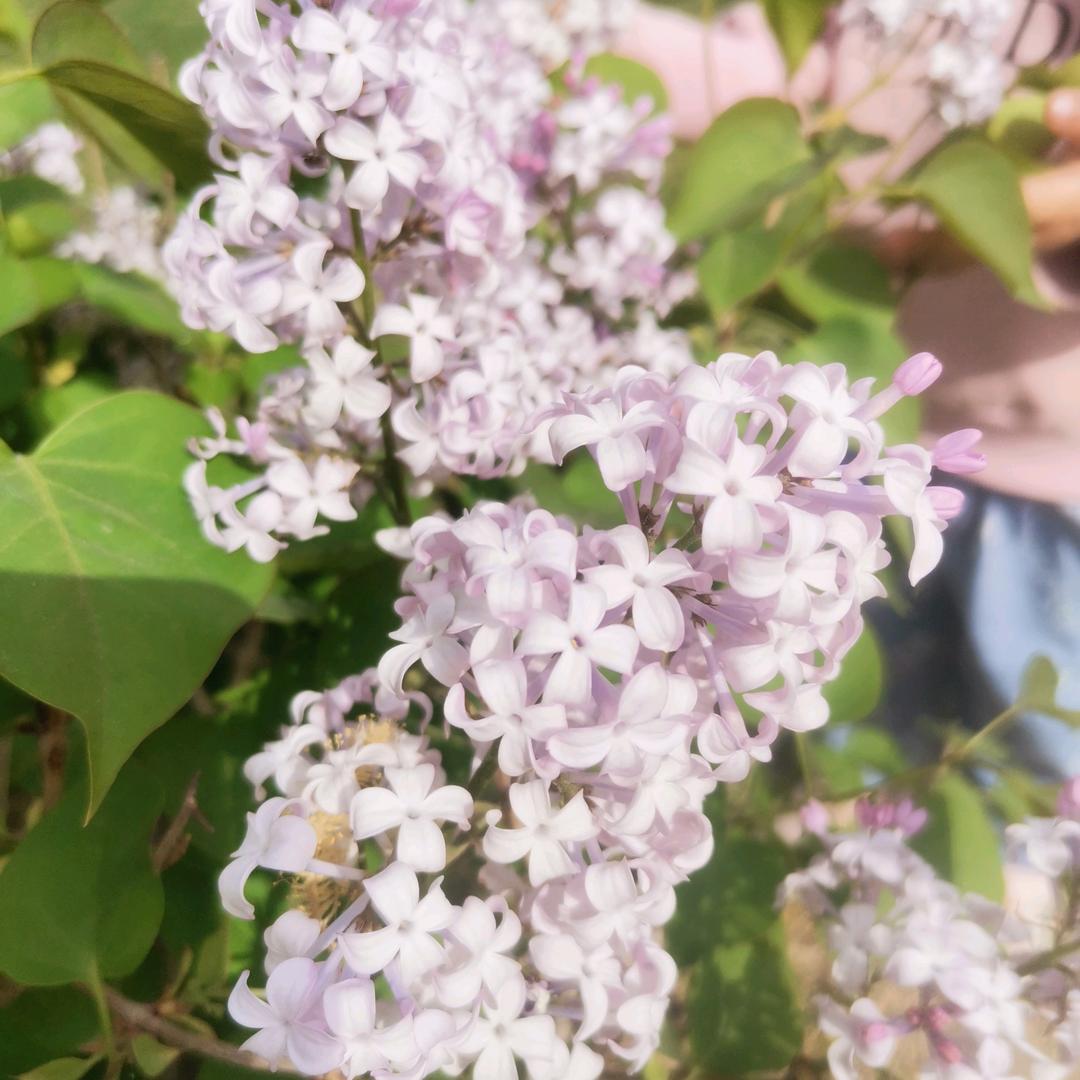 ご栤糖ㄨ鍸虂か