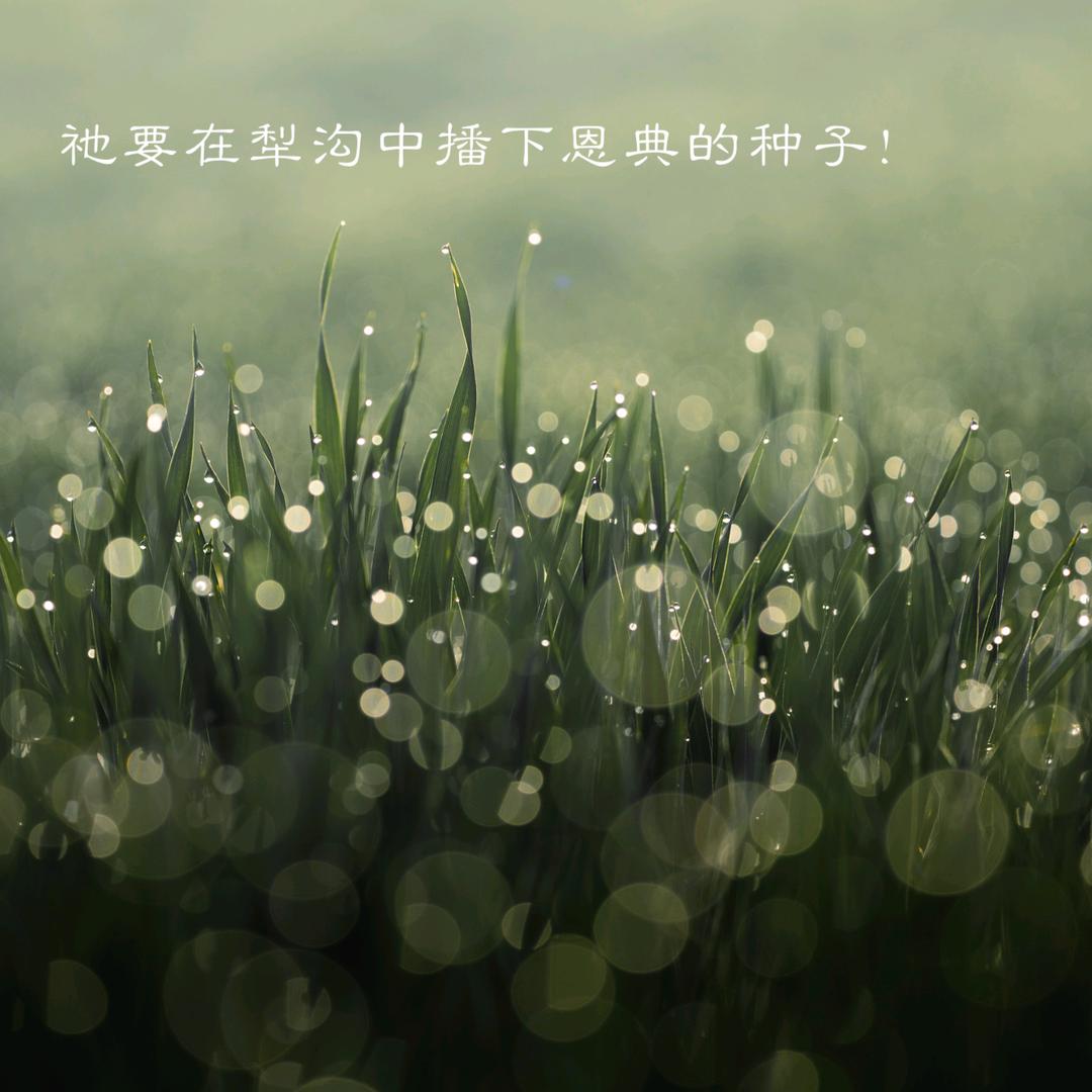 婚姻家庭专委会