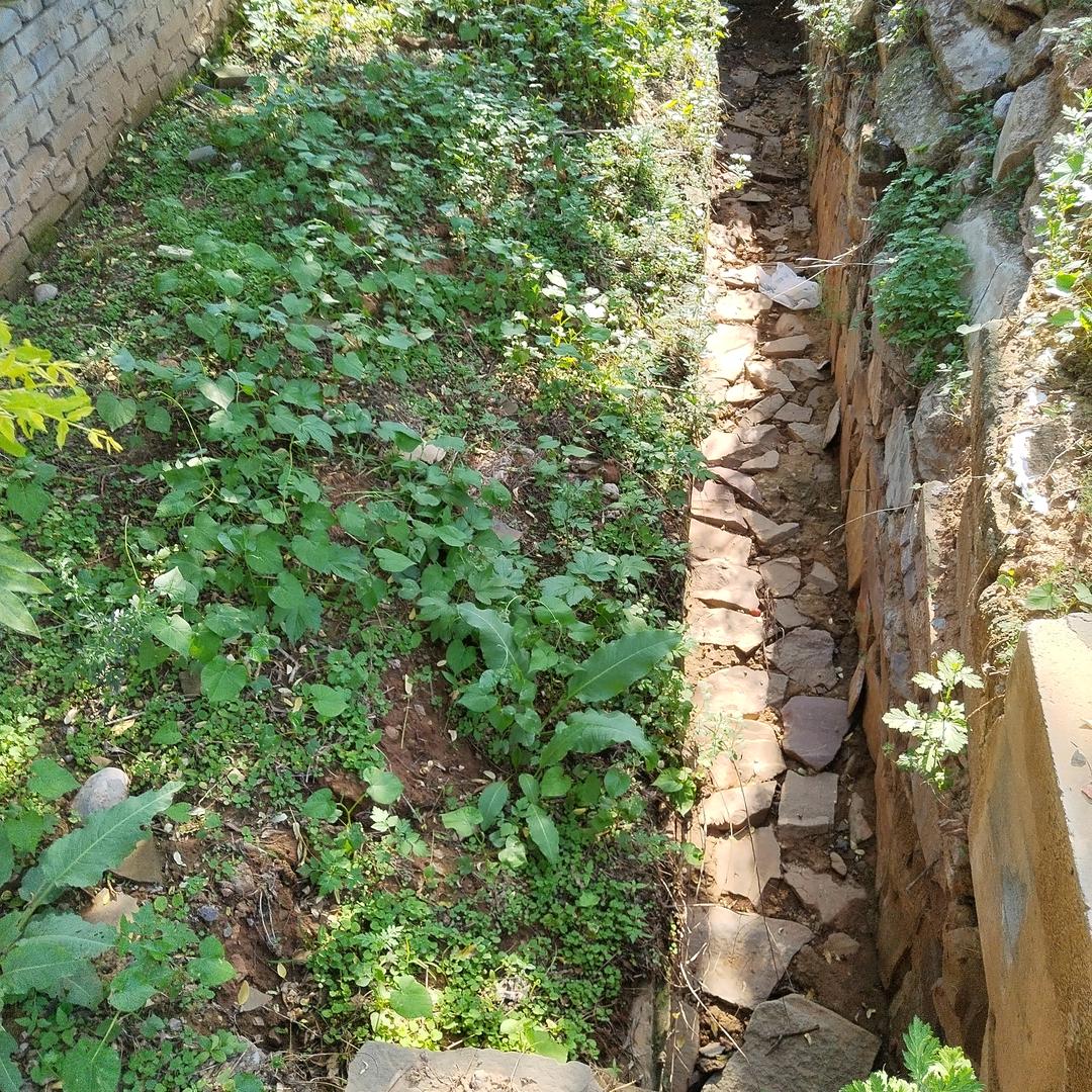 笑迎一切