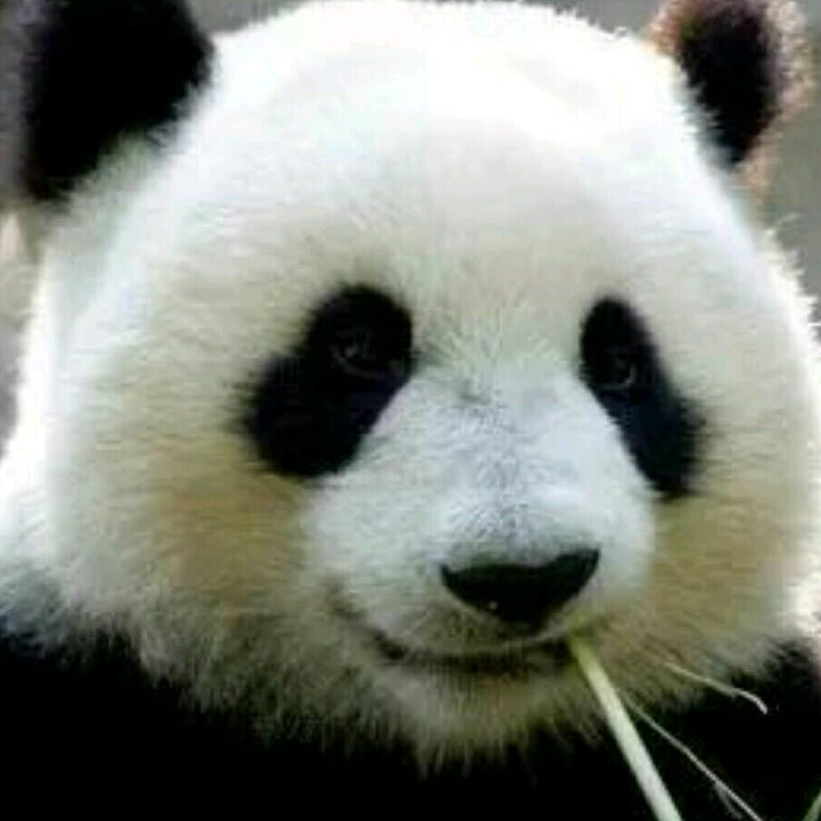 东方