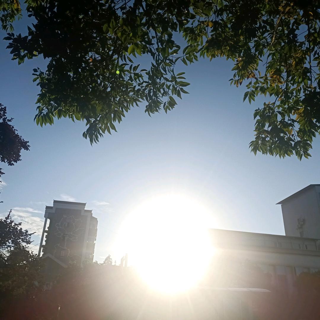 ～鸟语花香🌸～