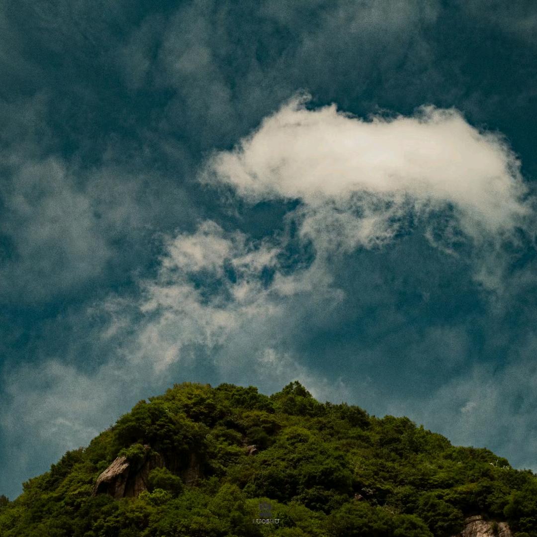 ~༽ོ ❀翠小暖❀ོོ