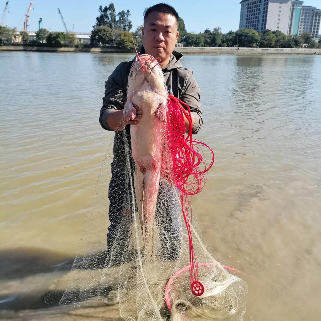 落叶、户外撒网