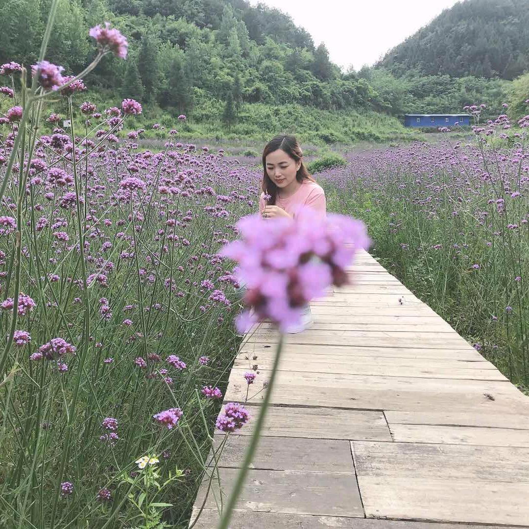 🍅岁月静好🍅