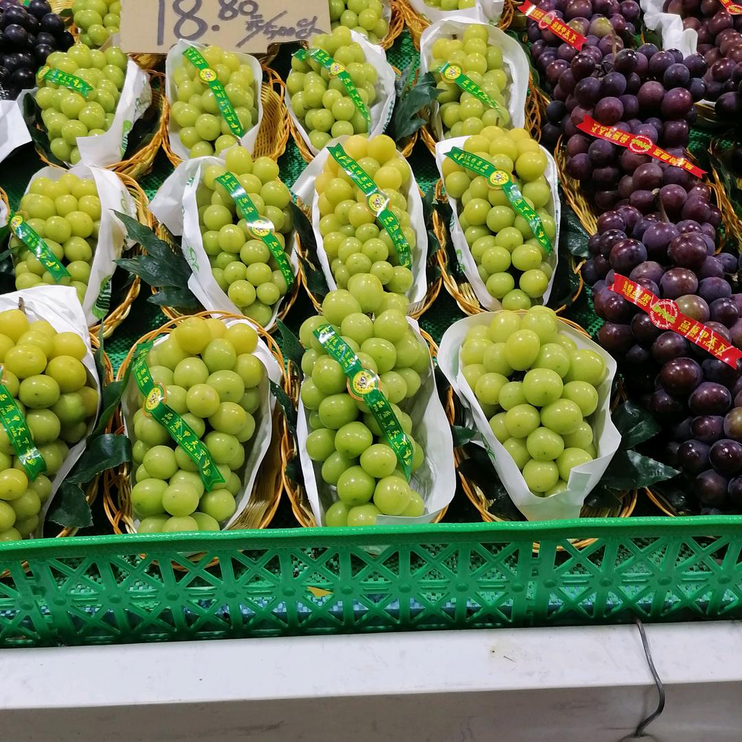 春花秋月何时了