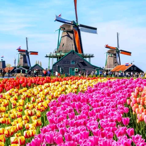 家有儿女小宝贝