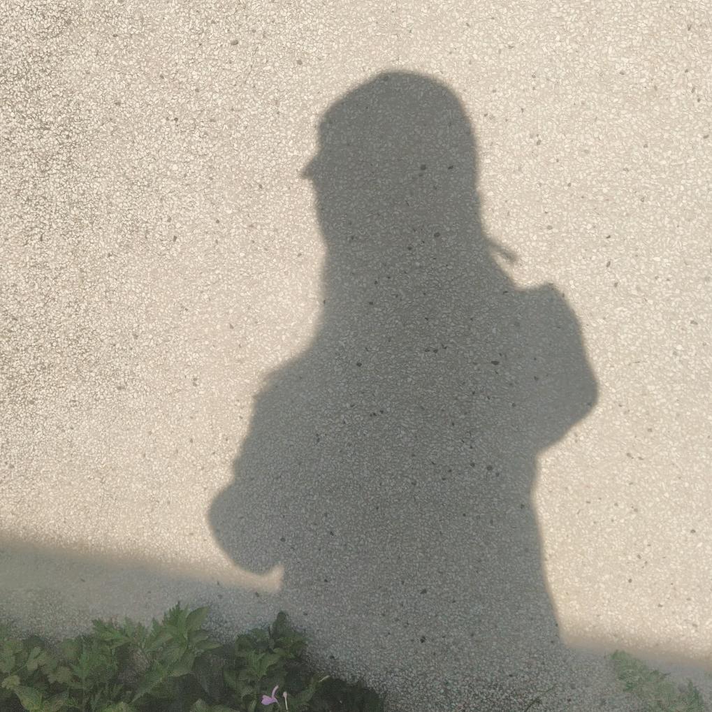 婷🌻🍭🤟