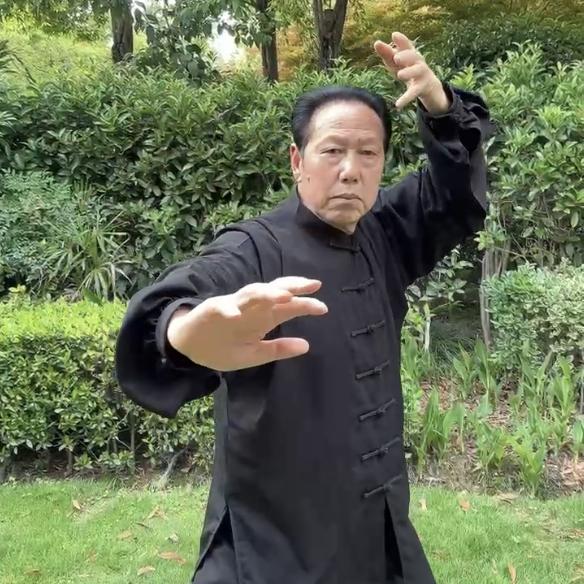 养生爱好者～元河一柳