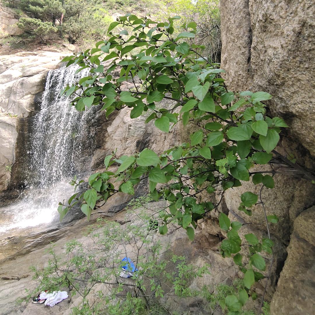 ༺ͯ顺其༒ͯ自然༻ͯ