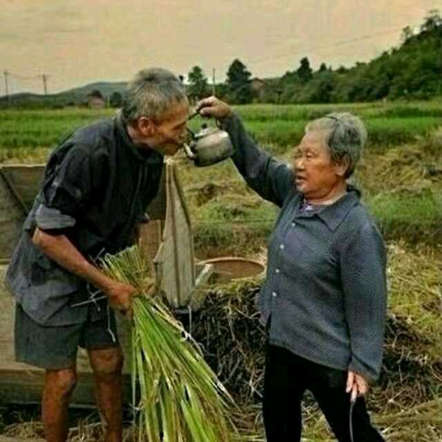 川南布衣