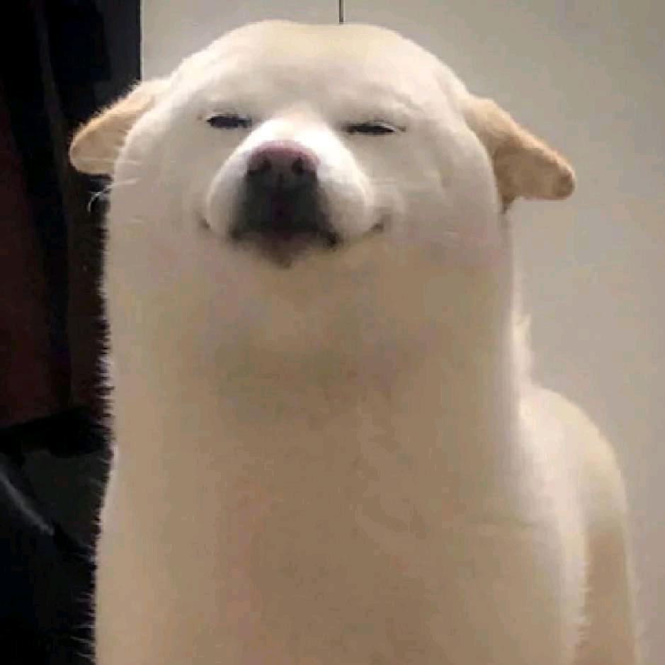一只甜罗