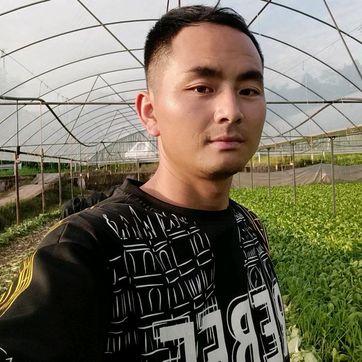 白菜哥欧阳