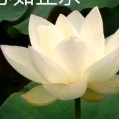 幸福的人