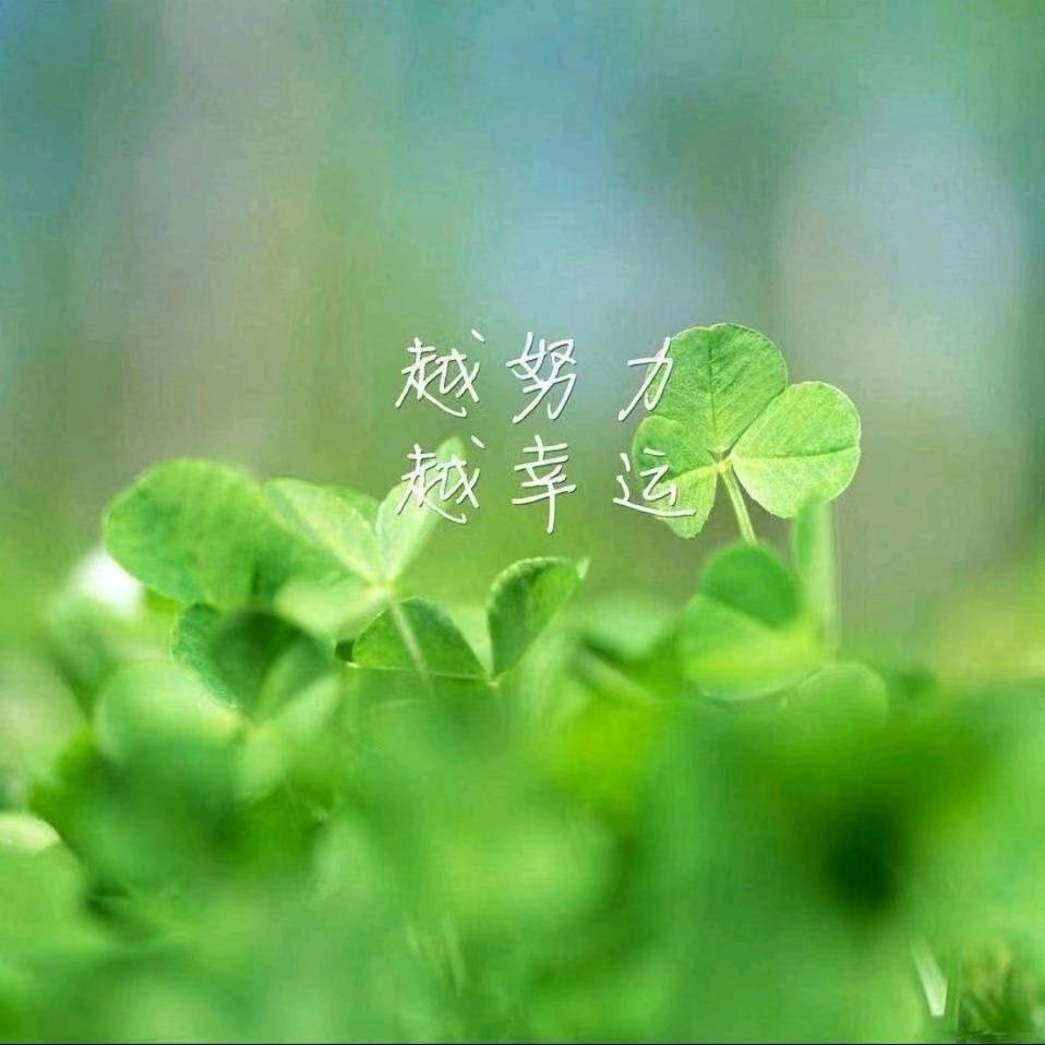 月儿的拾光碎片