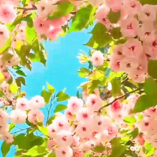 实战💞💘时代