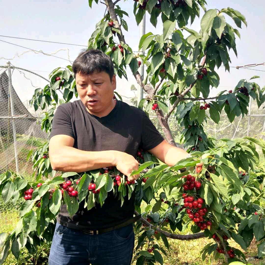 泰安市鑫奥农业科技有限公司